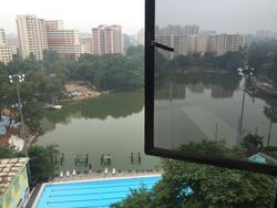 Blk 543 Jelapang Road (Bukit Panjang), HDB Executive #104807162